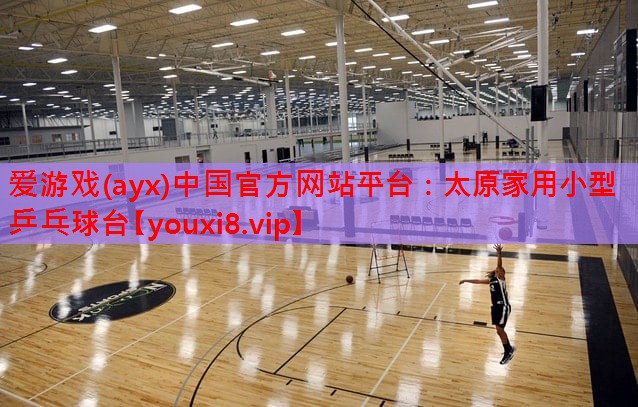 爱游戏(ayx)中国官方网站平台：太原家用小型乒乓球台