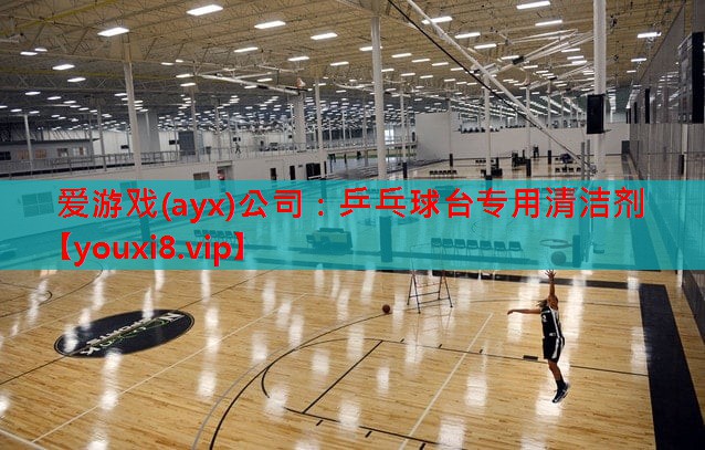 乒乓球台专用清洁剂 乒乓球台专用清洁剂